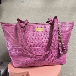 Pink Brahmin 🌸🎀